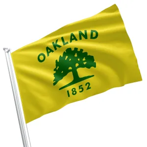 California State Alameda County Cities USA United States of America Flag Banner