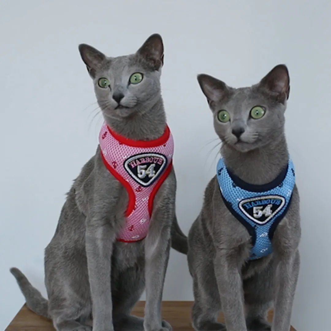 Comfortable Cat Harness